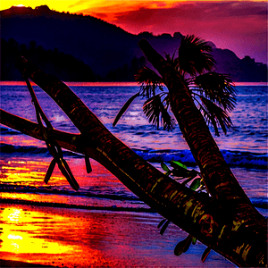 Honduras Beach Sunset PNG atj PNG