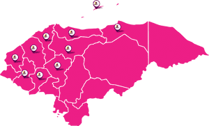 Transparent Mapa De Honduras Png - Mapa De Honduras Departamentos, Png Download PNG
