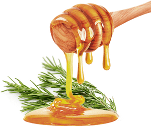 Apples And Honey Free, HD Png Download PNG with transparent background