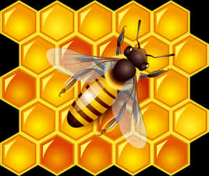 Bees Transparent Honey Australian Png Free Stock - Honey Bee Honey Png, Png Download PNG image with transparent background