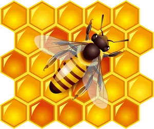 Honeybeeon Hexagon Pattern PNG Image