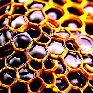 Honeycomb Hive Closeup Png Rhm PNG Image