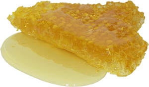 Honeycombwith Honey Dripping.png PNG image with transparent background