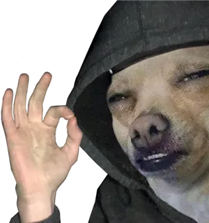 Hooded Dog Hand Gesture PNG Image