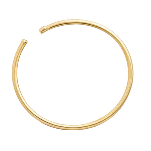 Hoop Nose Ring Png 47 PNG Image