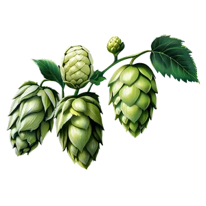 Hops And Barley Png 20 PNG Image