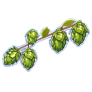 Hops Branch Sketch Png 47 PNG Image