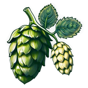 Hops Branch Sketch Png 66 PNG Image