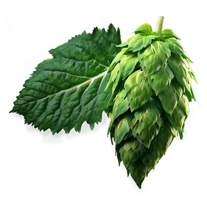 Hops Leaf Texture Png 06292024 PNG Image