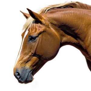 Horse Cartoon Outline Png Rfw PNG Image