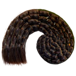 Horse Tail Png Bta PNG Image