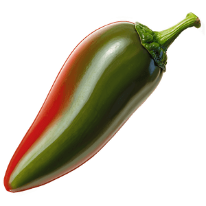 Hot Jalapeno Chili PNG 06132024 PNG with transparent background