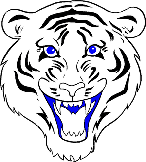 How To Draw A Tiger Face In A Few Easy Steps - Tiger Face Step By Step PNG image with transparent background