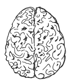 Human Brain Illustration PNG image with transparent background