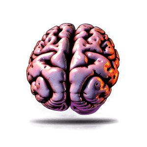 Human Brain Illustration PNG 05242024 PNG image with transparent background