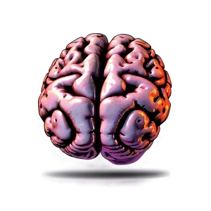 Human Brain Illustration Png 05242024 PNG Image