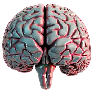 Human Brain Illustration Png Fvf67 PNG Image