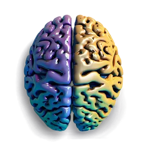 Human Brain Intelligence Layers Png 70 PNG Image