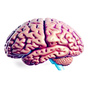 Human Brain Problem Solving Png 84 PNG Image