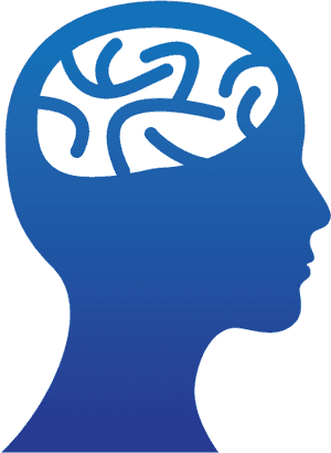 Developmental Psychology - Developmental Psychology Png, Transparent Png PNG image with transparent background