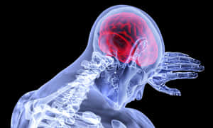 Human Brain Xray Visualization PNG image with transparent background