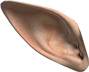 Human Ear Close Up3 D Render PNG Image