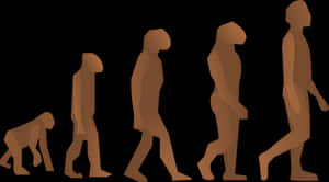 Human Evolution Sequence PNG with transparent background