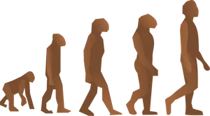 Human Evolution Sequence PNG Image