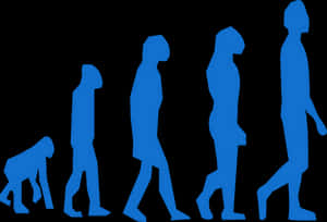 Human_ Evolution_ Sequence PNG with transparent background