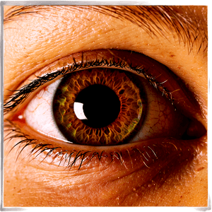 Human Eye Close-Up PNG mul PNG image with transparent background