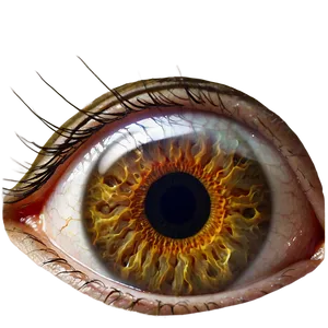 Human Eye Transparent Image Png Nts22 PNG Image