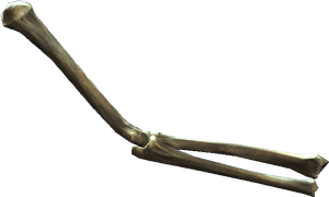Human Femur Bone3 D Render PNG image with transparent background