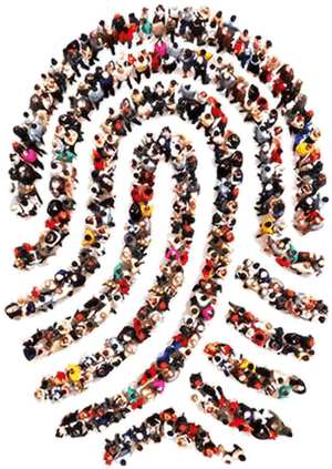 Human Fingerprint Formation PNG image with transparent background