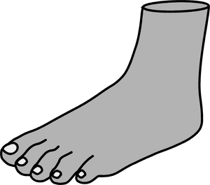 Foot Image Png Clipart - Foot Clipart, Transparent Png PNG image with transparent background