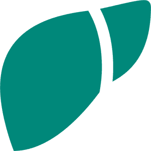 Human Liver Icon Vector PNG image with transparent background