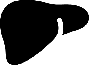 Human Liver Silhouette Graphic PNG with transparent background