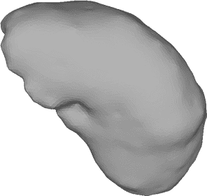 Human Liver3 D Model Rendering PNG image with transparent background