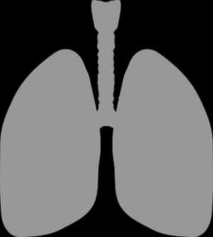 Human Lungs Silhouette PNG image with transparent background