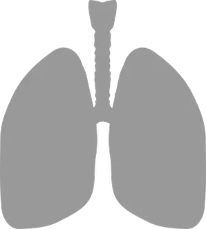 Human Lungs Silhouette PNG Image