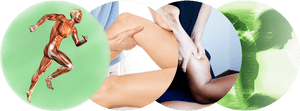 Sports Massage Png - Sport Massage, Transparent Png PNG image with transparent background