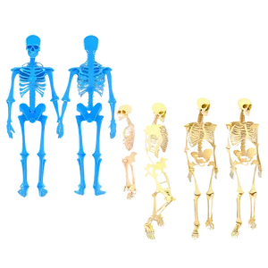 Human Skeletal System Diagram Png 98 PNG Image