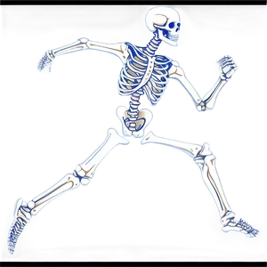 Human Skeleton Running Pose Png Sdh PNG Image