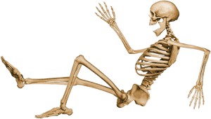 Human Skeleton Running Pose PNG image with transparent background