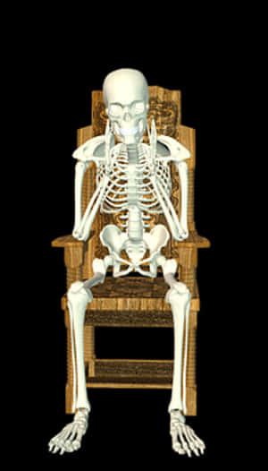 Human Skeleton Seatedon Chair PNG image with transparent background