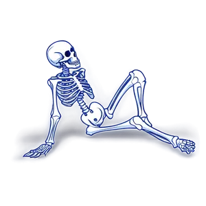 Human Skeleton Sitting Pose Png Fjo49 PNG Image