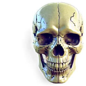 Human Skull Structure Png Pkm PNG Image