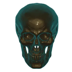 Human Skull X Ray Visualization PNG Image