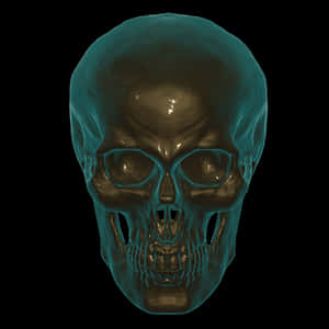 Human Skull X Ray Visualization PNG image with transparent background