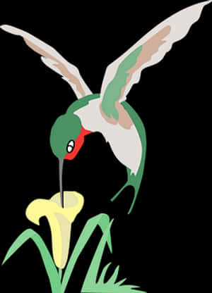 Hummingbird Feedingon Flower PNG image with transparent background