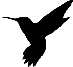 Hummingbird, HD Png Download PNG image with transparent background